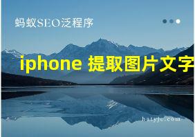 iphone 提取图片文字