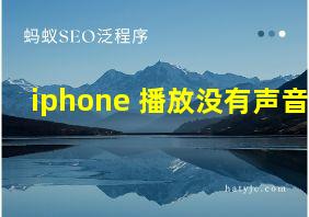 iphone 播放没有声音