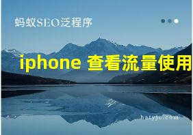 iphone 查看流量使用