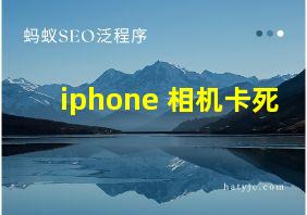 iphone 相机卡死