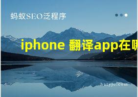 iphone 翻译app在哪