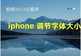 iphone 调节字体大小