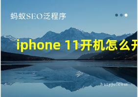 iphone 11开机怎么开