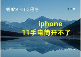 iphone 11手电筒开不了