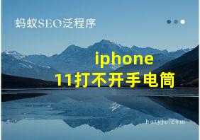 iphone 11打不开手电筒