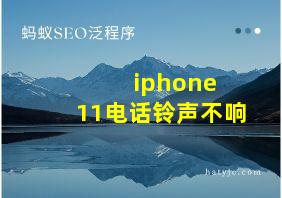 iphone 11电话铃声不响