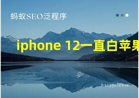 iphone 12一直白苹果