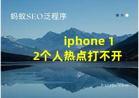 iphone 12个人热点打不开