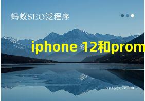 iphone 12和promax