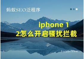 iphone 12怎么开启骚扰拦截