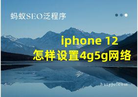 iphone 12怎样设置4g5g网络