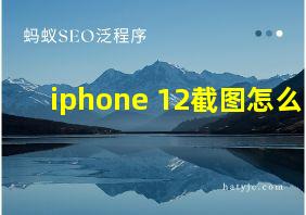 iphone 12截图怎么