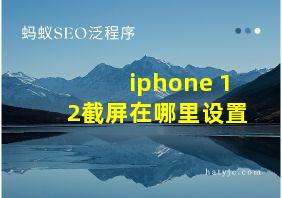 iphone 12截屏在哪里设置