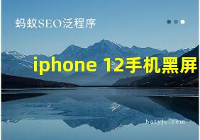 iphone 12手机黑屏