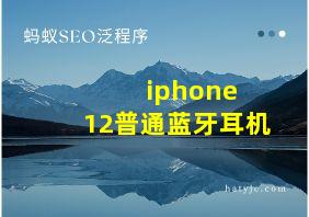 iphone 12普通蓝牙耳机