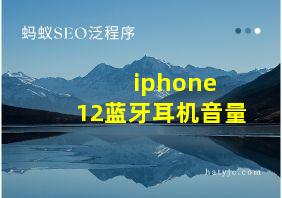 iphone 12蓝牙耳机音量