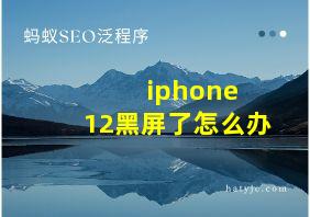 iphone 12黑屏了怎么办