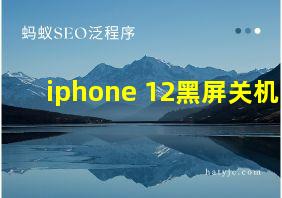 iphone 12黑屏关机