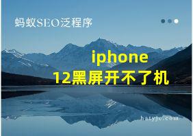 iphone 12黑屏开不了机