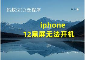 iphone 12黑屏无法开机