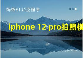 iphone 12 pro拍照模糊