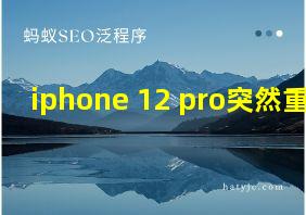 iphone 12 pro突然重启