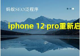 iphone 12 pro重新启动