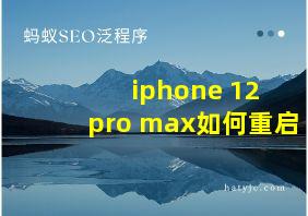 iphone 12 pro max如何重启