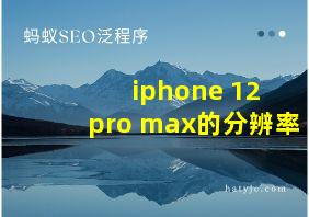 iphone 12 pro max的分辨率