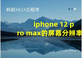 iphone 12 pro max的屏幕分辨率