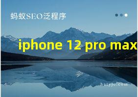 iphone 12 pro max翻译