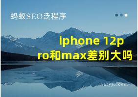 iphone 12pro和max差别大吗