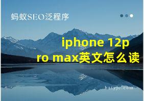 iphone 12pro max英文怎么读