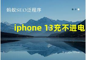 iphone 13充不进电