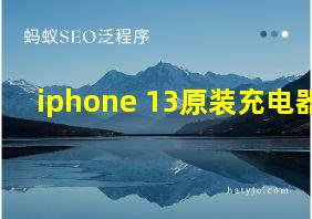 iphone 13原装充电器