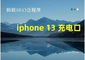 iphone 13 充电口