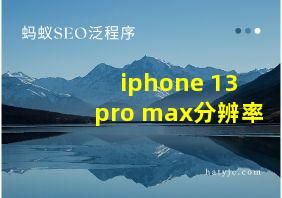 iphone 13 pro max分辨率