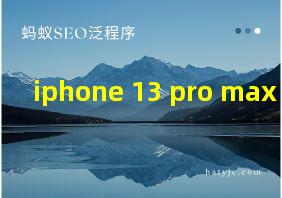 iphone 13 pro max 电量