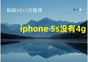 iphone 5s没有4g