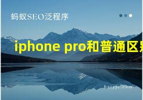 iphone pro和普通区别