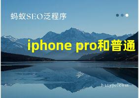 iphone pro和普通