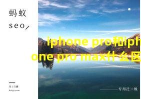 iphone pro和iphone pro max什么区别