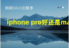 iphone pro好还是max好