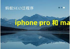 iphone pro 和 max