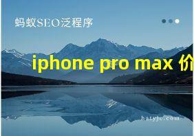 iphone pro max 价格