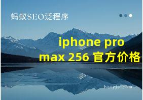 iphone pro max 256 官方价格