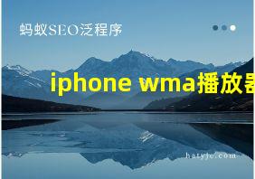 iphone wma播放器