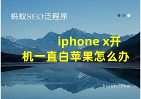 iphone x开机一直白苹果怎么办