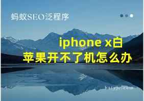 iphone x白苹果开不了机怎么办