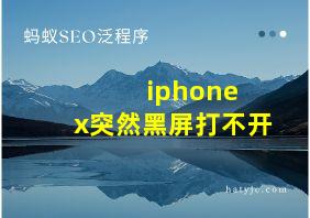 iphone x突然黑屏打不开